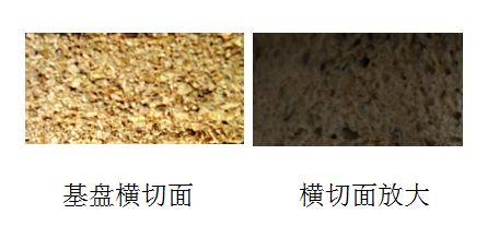 生態(tài)磚(圖4)